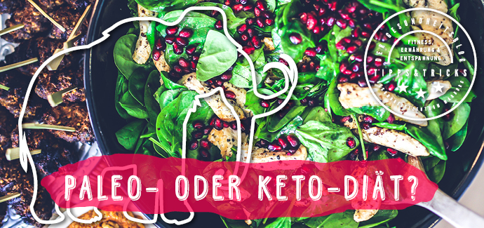 Layout Website Blog 690x325px Superfood