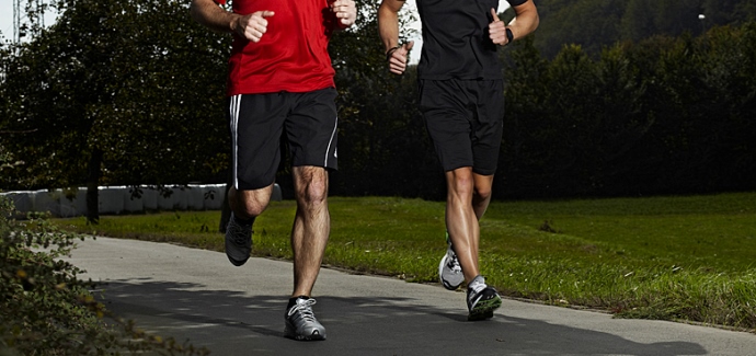 Herz Kreislauf 690x325